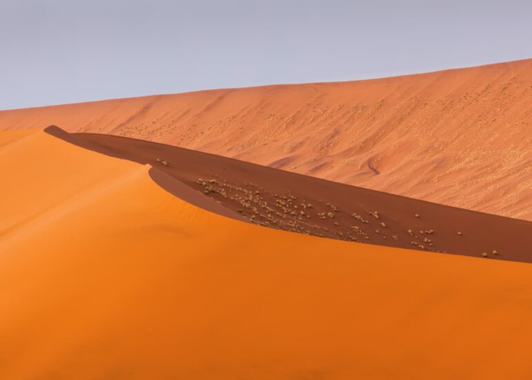 Dune