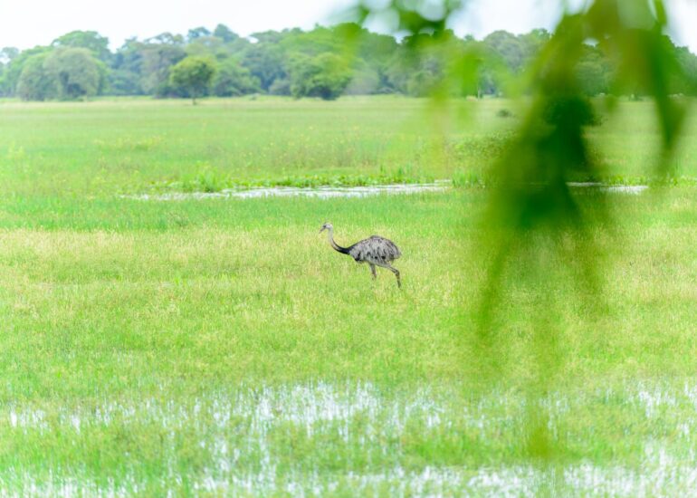 RP-03032014-25824-DxO_DeepPRIME-XD2s_XD-Editar