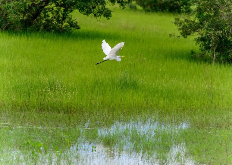 RP-03032014-25824-DxO_DeepPRIME-XD2s_XD-Editar