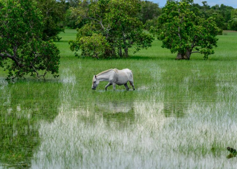 RP-03032014-25824-DxO_DeepPRIME-XD2s_XD-Editar